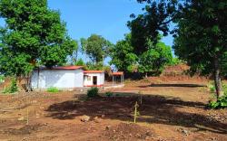Entire 2 Acre Private Farm on Rent with 3 Room