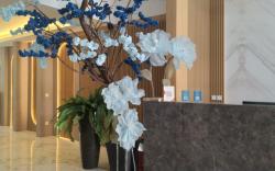 True Blue Bunga Bunga Hotel Pasar Baru - Jakarta
