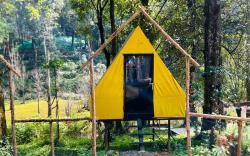skyfall adventure camping T1