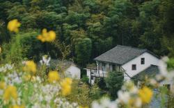 Xipo Moganshan Resort Homestay