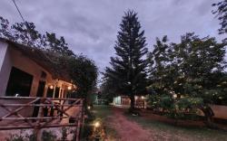 The Big Cat's Den - Maravakandy Resort Masinagudi