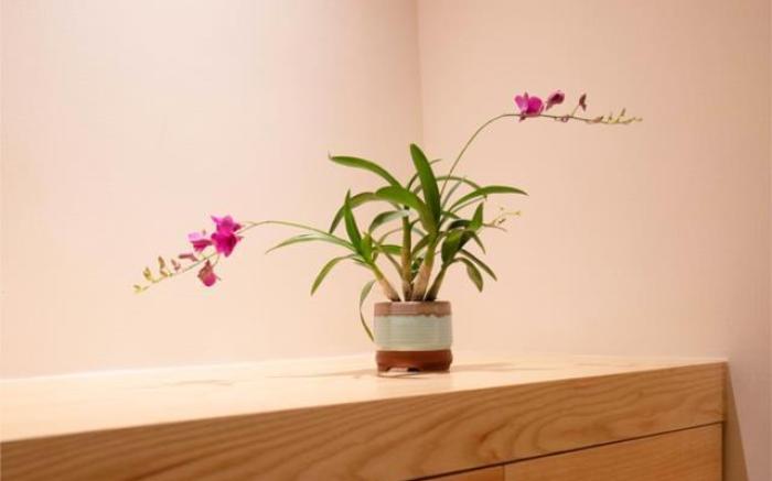 Poltton International Apartment Liuzhou Yaobu Old Town