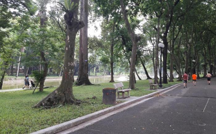 Green homestay Ha Noi