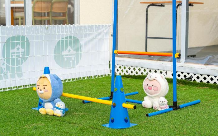 Jeju Dangdangi Dog Pension Black