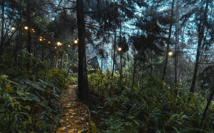 Oculto refugio de bosque