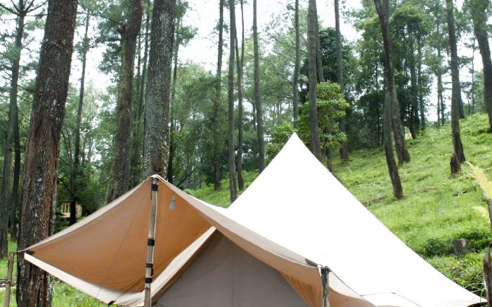 Lembah Pinus Cikole