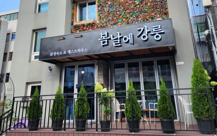Gangneung Guesthouse Gangneung on a Spring Day