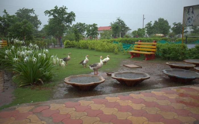 Break The Routine, Malshej