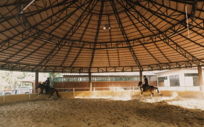 Amphawa horse farm
