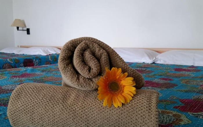 Charming seaside villa with garden near Serenity Beach, between Auroville and White Town