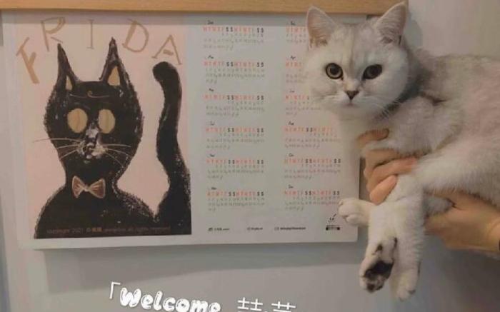 喆·艺 Home 文艺精品大床房