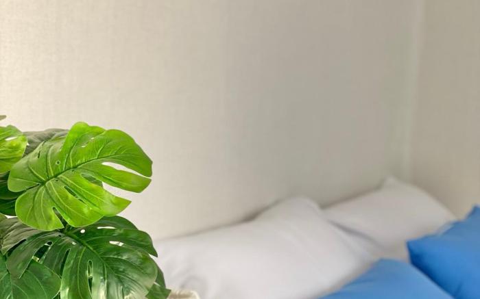 Yeonneu Stay |Private Room|Seoul major area 30 min