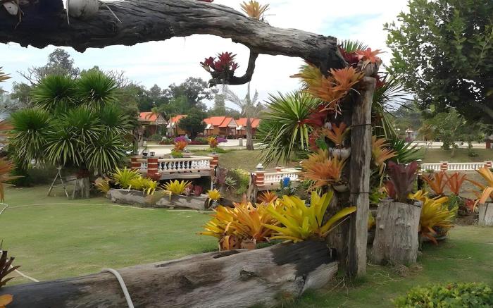 Naya Park View Hotel