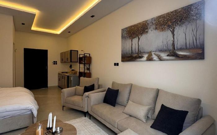 A quiet studio in Al-Aqeeq with a modern design