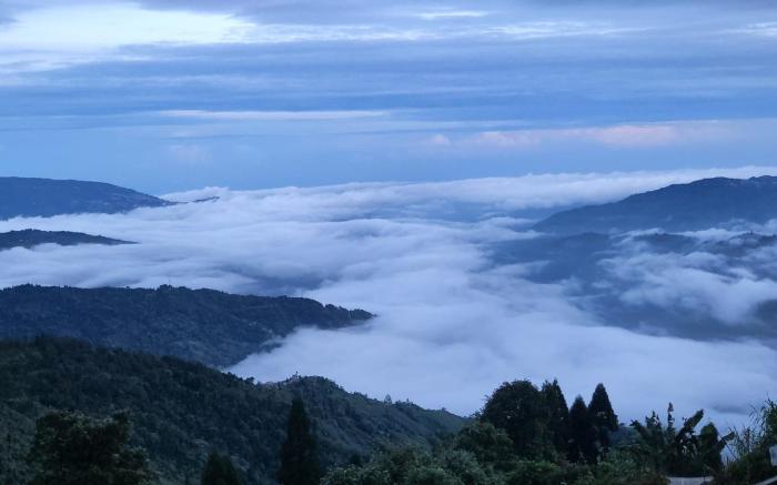Yangkit homestay