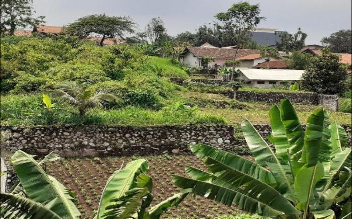 Nabila Syar'i Guesthouse