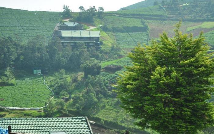 Destiny The Farm Resort