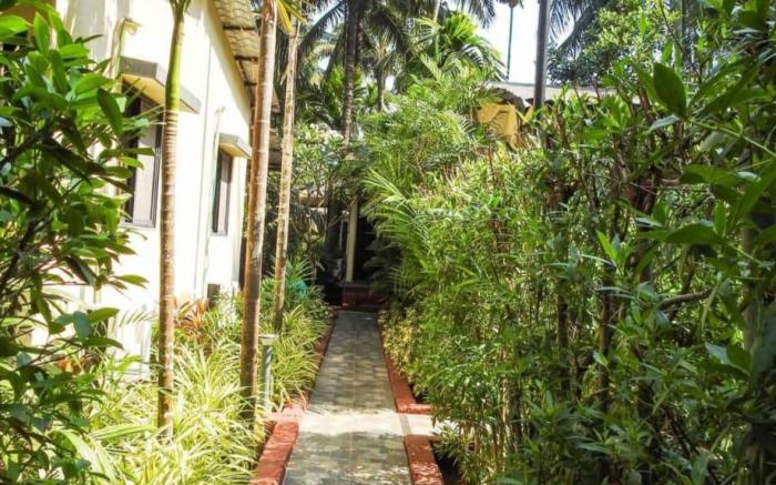 Coconut Fly Holidays