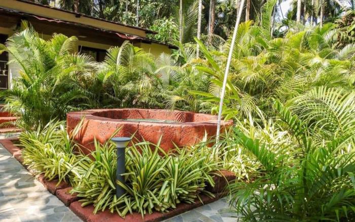 Coconut Fly Holidays