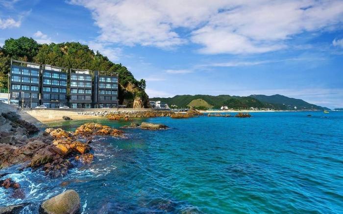 The Great Ocean Pension