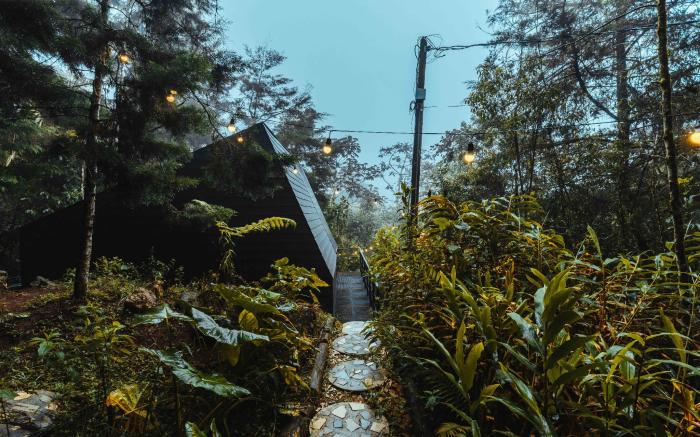 Oculto refugio de bosque