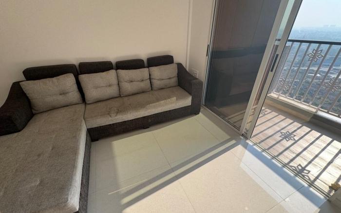 High Rise High Vibes