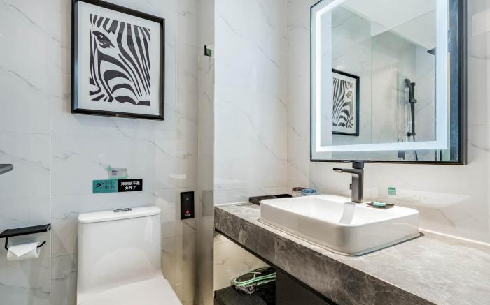 Xana Hotel Beijing Bird's Nest Datun East Road Subway Station