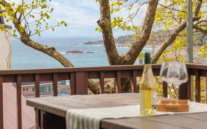 Gyeongju Happy Dream Ocean View Pension