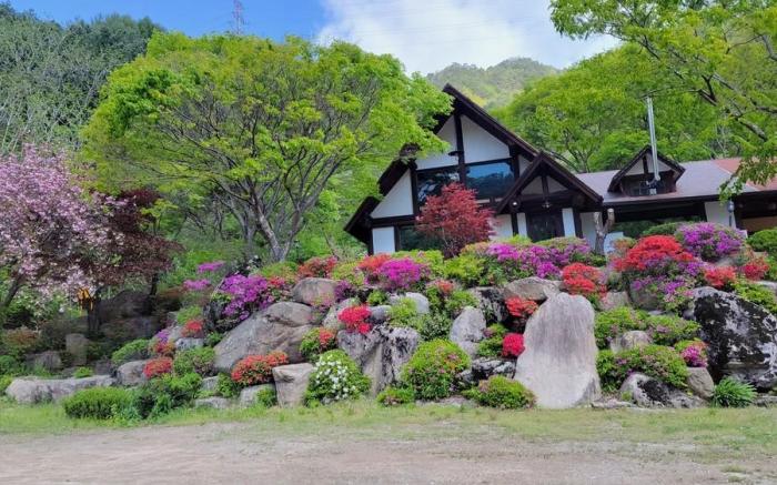 Woohyang Gallery Pension