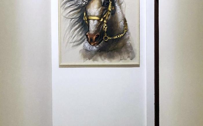 HMC Lesiure House Dondra