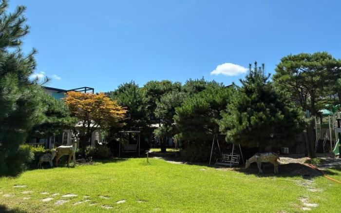 Gapyeong The Haru Emotional Pool Villa