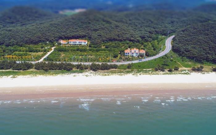 Taean Janggong Pension