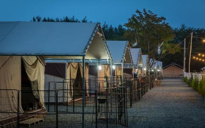 Seosan Pet & Tree Dog Glamping (Individual Barbecue)