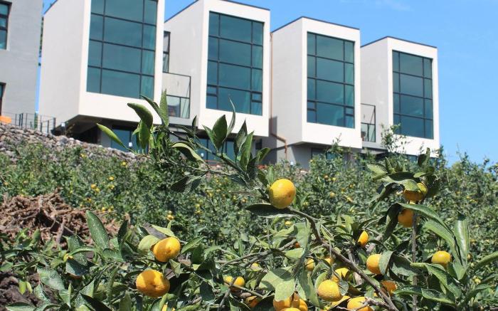Stay in Jeju Holiday House