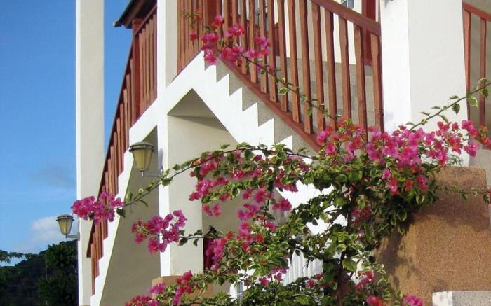 Nadivana Serviced Apartment