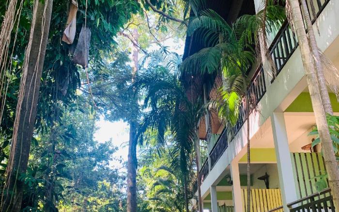 Tree House Hotel