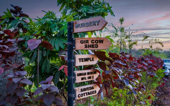 Saveda Farm & Cottages