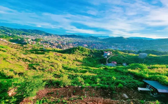 Wanay's Rocky Mountain Homestay