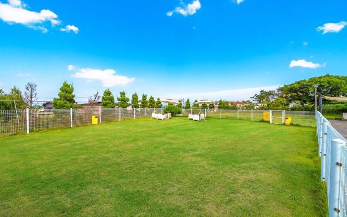 Pohang White 7 Dog Pool Villa
