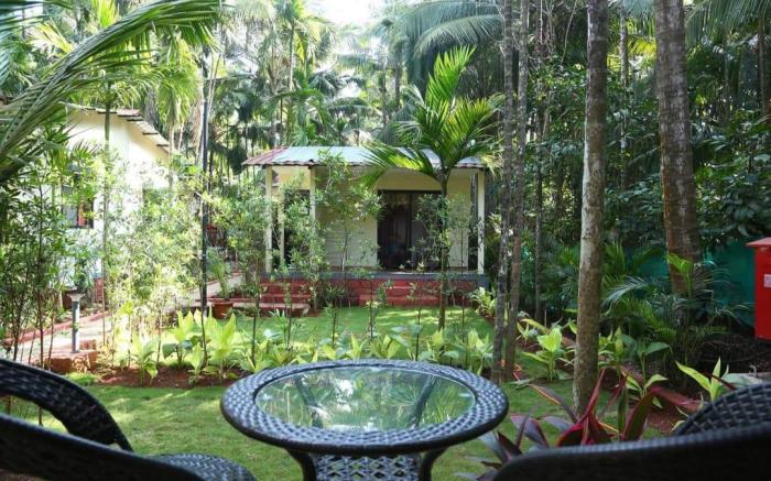 Coconut Fly Holidays