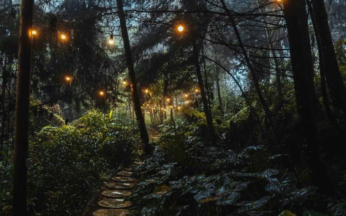 Oculto refugio de bosque