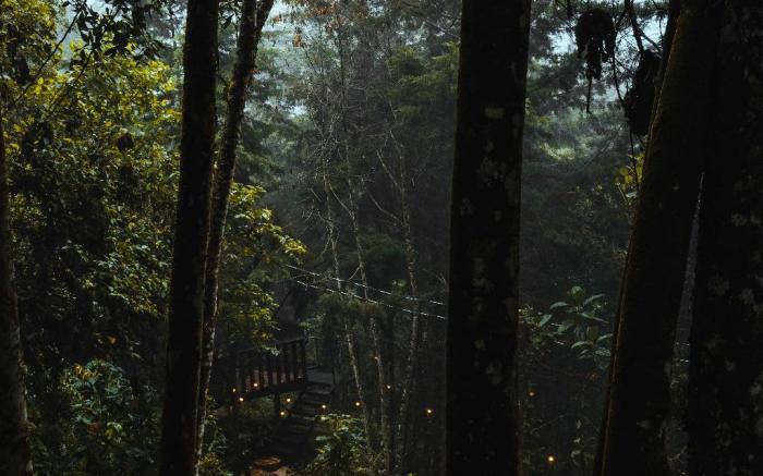 Oculto refugio de bosque