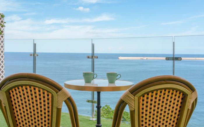 Samcheok Peacehousing Spa Pet Pension