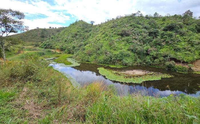 HOSTERIA BRISAS DEL RIO