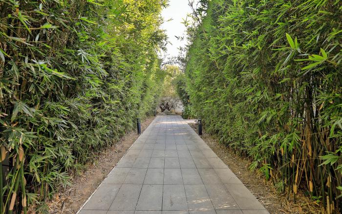 Yinshu Lunasvilla Courtyard Garden Resort Hotel (Shanghai International Tourism Resort Branch)