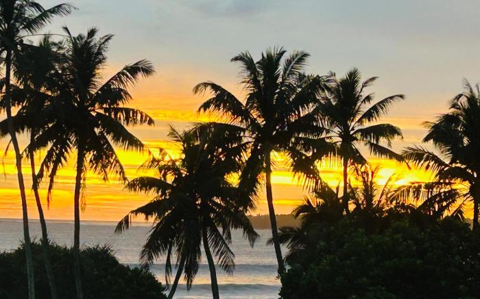 Mich's Surf Villa & Hostel