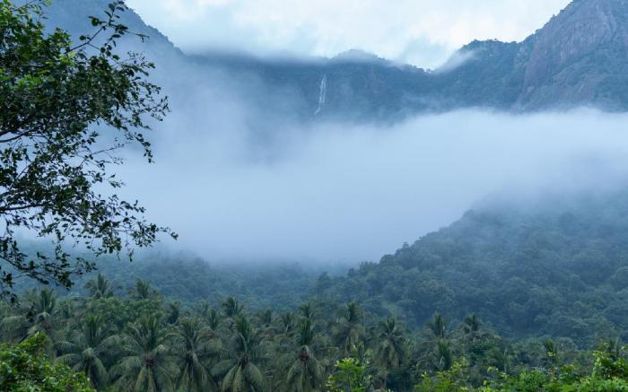 Seethavanam Farmstay at Forest Edge