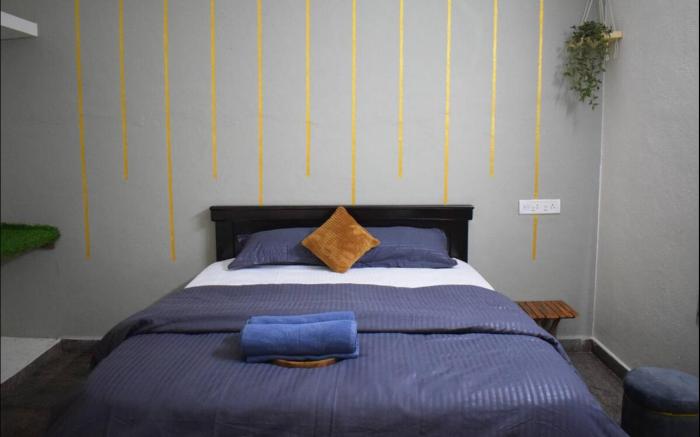 Krish homestay 2bhk with hill view