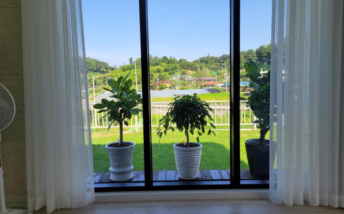 Halfmoonbay (Dongducheon Branch)