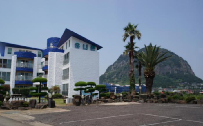 Unicorn Pension